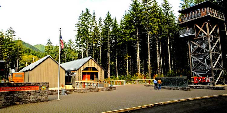 Stroll Around Tillamook Forest Center