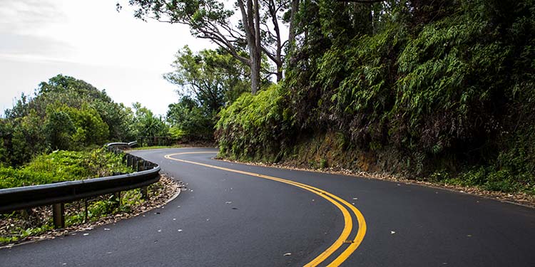 Travel the Road to Hana