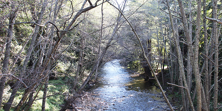 Big Sur River Gorge