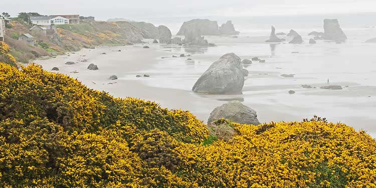 Cape Foulweather