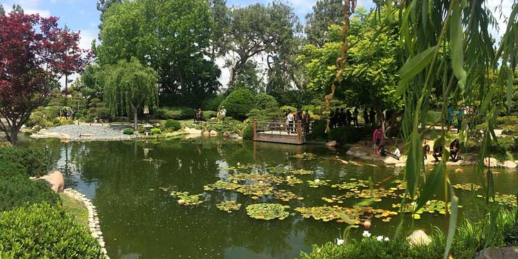 Earl Burns Miller Japanese Garden