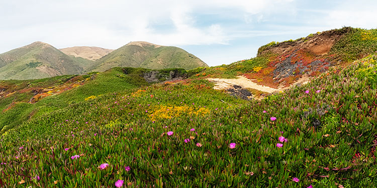 Garrapata State Park