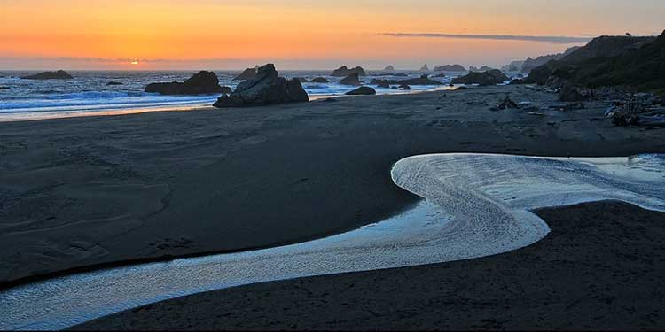 Harris Beach State Park