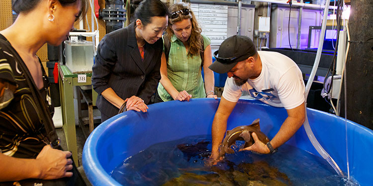 Heal-the-Bay-Aquarium