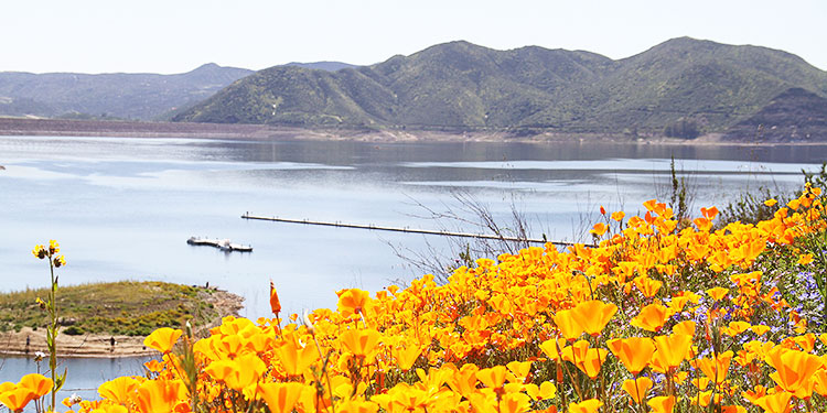 Lake Hemet