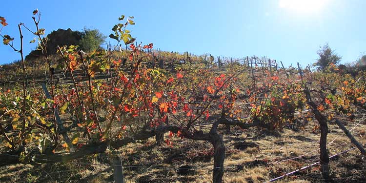 Malibu Wine Hikes