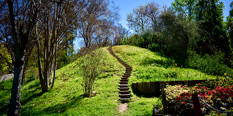 UC Riverside Botanic Gardens