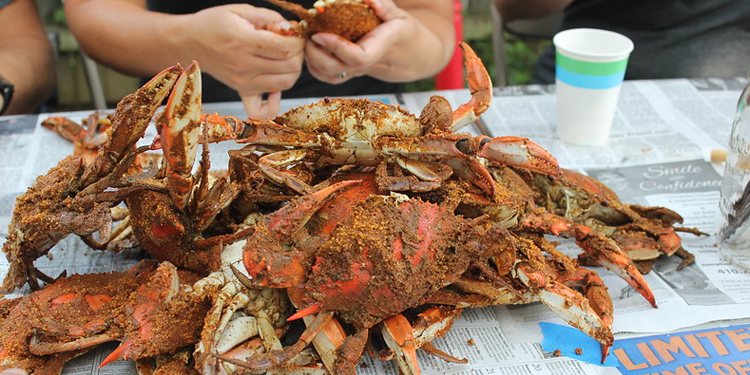 Try Maryland’s Famous Blue Steamed Crabs