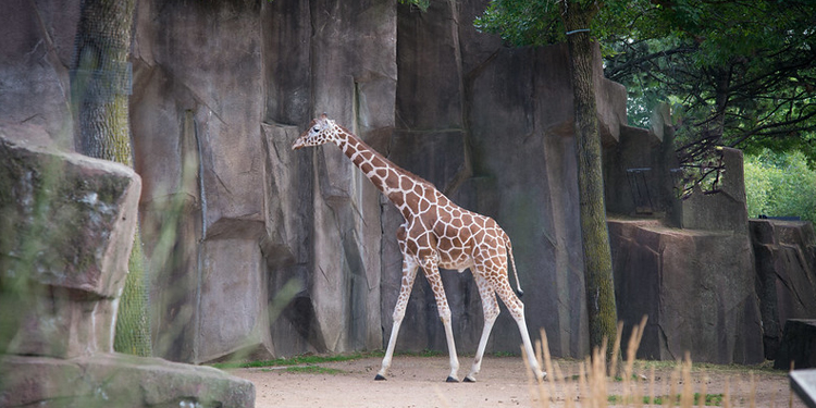 Milwaukee County Zoo